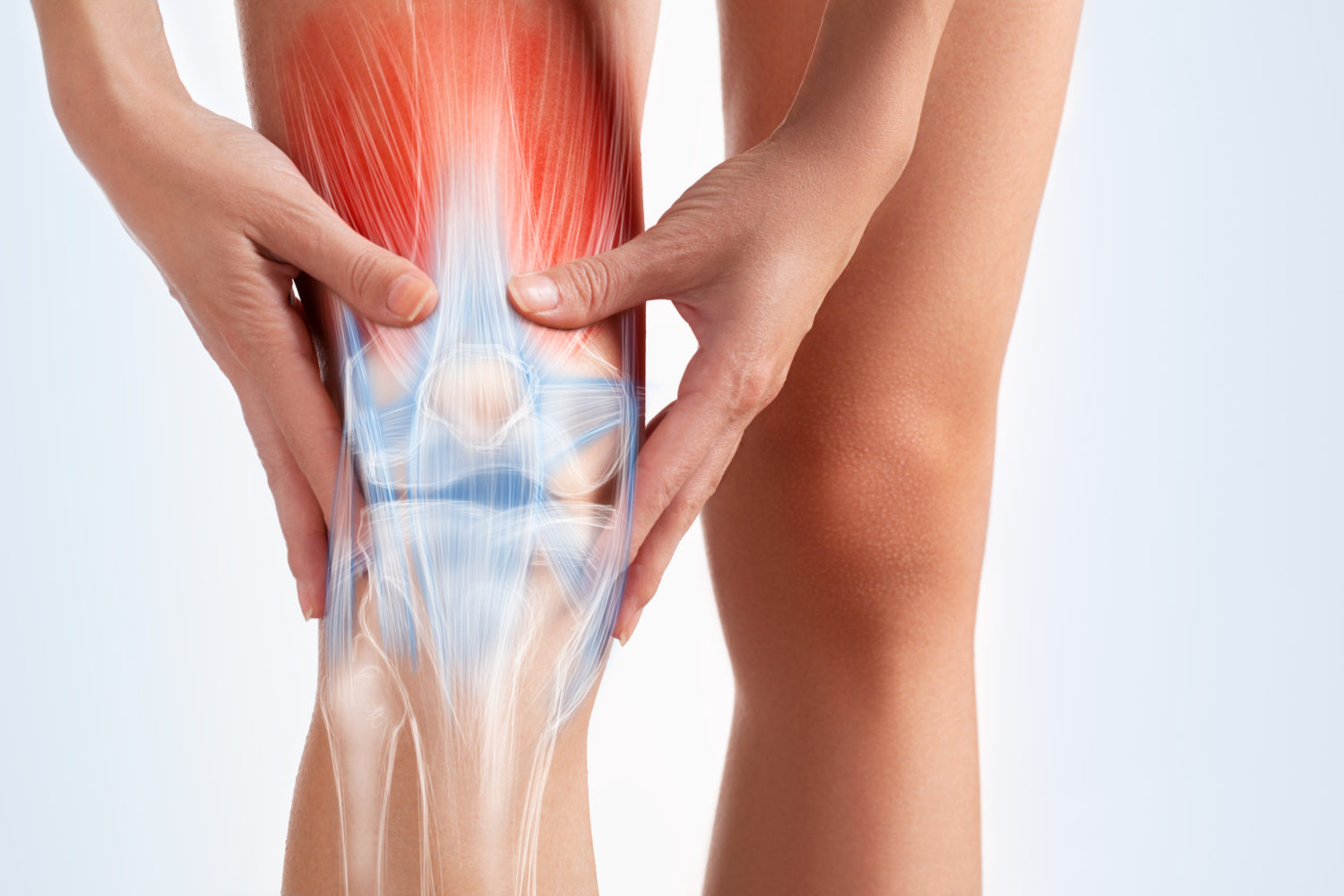 Meniscus Tear Treatment - No Fault Doctor in Forest Hills, NY